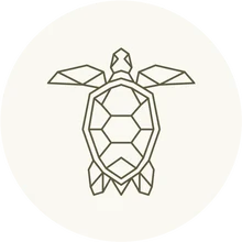 نمق